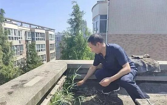 郑州房子漏水什么原因_楼房漏水什么原因3d图